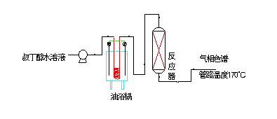 乙醇脫水/叔丁醇脫水催化劑